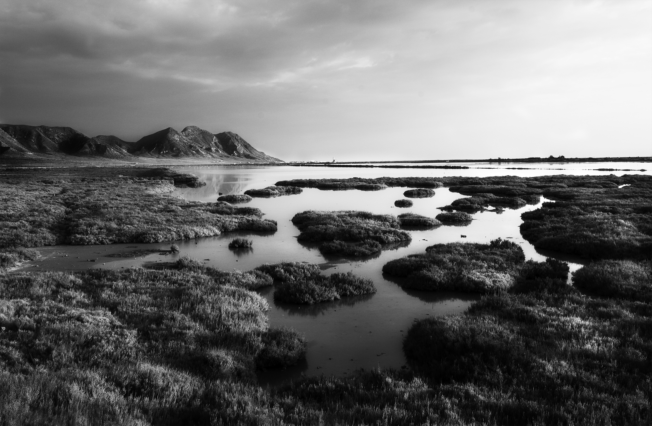 Paysage 1